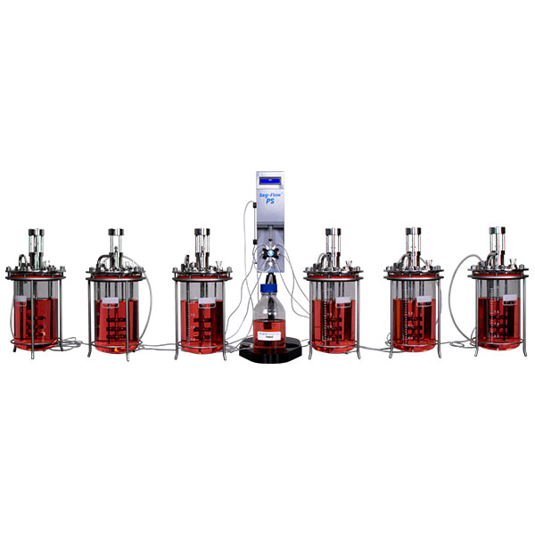 Bioprocess Feeding Control